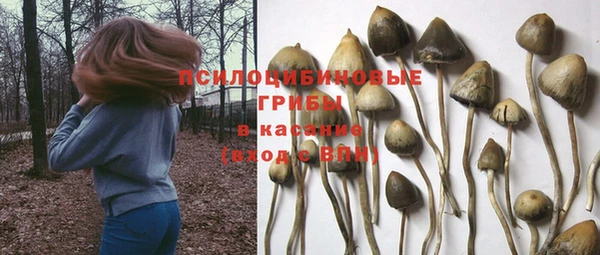 спиды Балабаново