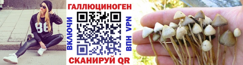 ссылка на мегу ТОР  Лукоянов  Галлюциногенные грибы Psilocybine cubensis 